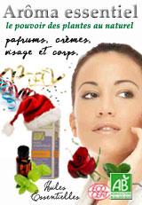 Un Noël de Bien-être - Naturel - Bio et Zen