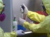Grippe H1N1: diminution nombre confirme