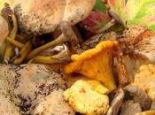 Risotto champignons