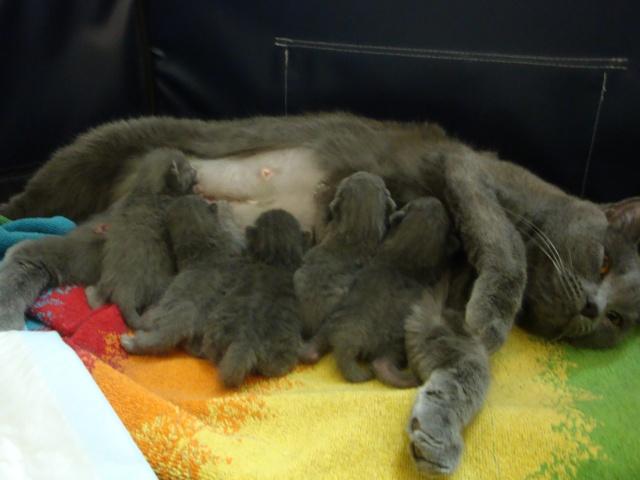 La petite famille du clan d’Iriwal : presque une semaine…