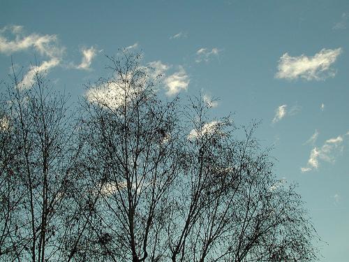 ciel d'hiver par Gradisca Victoria
