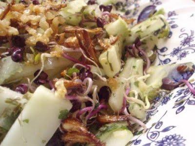 Salade de concombre aux saveurs piquantes de graines germées de radis, ail et gingembre frits et vinaigrette d'agrume et d'aloé vera