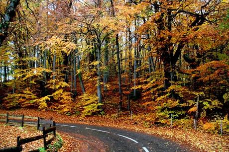Quand l'automne met le feu à la nature...