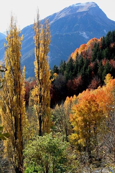 Quand l'automne met le feu à la nature...