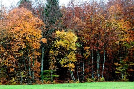 Quand l'automne met le feu à la nature...