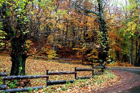 Quand l'automne met le feu à la nature...