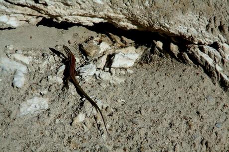 Quand l'automne met le feu à la nature...