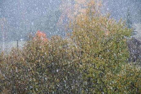 Quand l'automne met le feu à la nature...