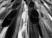 TARMAC Yann Arthus-Bertrand