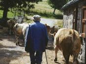 soldat Marmara (rediff)