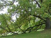 Jardin Thabor Rennes