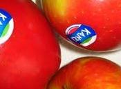 Terrine pommes cannelle!!!