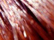 Merci monsieur LeSoleil