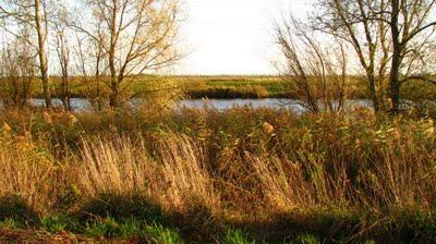 Entre Lelystad et Almere