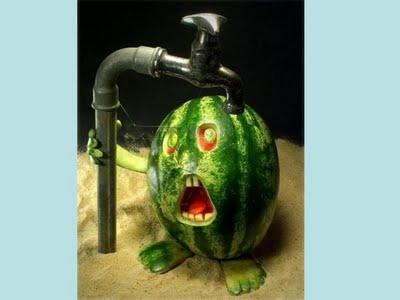 on ne joue pas avec la nourriture