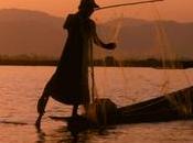 Suite Pourquoi, pourquoi,pourquoi... Parabole Pêcheur