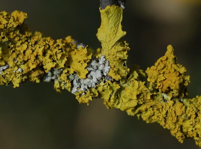 La garde-robe automnale des branches