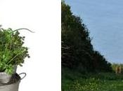 Gagnez week-end campagne jardins aromatiques