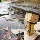 thumbs danbo 19 Les aventures de Danbo (35 photos)