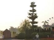 Journée repos, petite histoire… octobre 2009