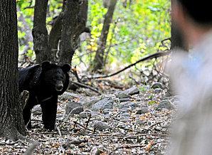 Du dangereux métier de terroriste