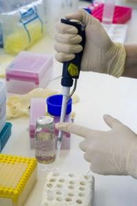 Le virus Ebola disparaît d’un laboratoire national de microbiologie à Winnipeg Le virus Ebola disparaît d’un laboratoire national de microbiologie à Winnipeg