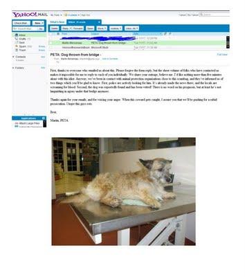 Quand les internautes vengent un petit chien!