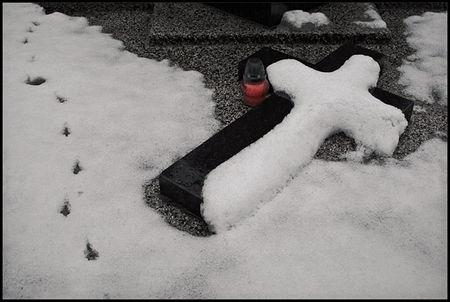 Last_steps_Daaram_Jollant