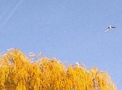 Ambiances d’automne famille