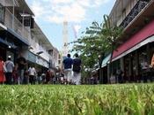 jour l’herbe tous coins rues… [ONG]