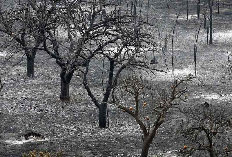 Images de l’année écoulée