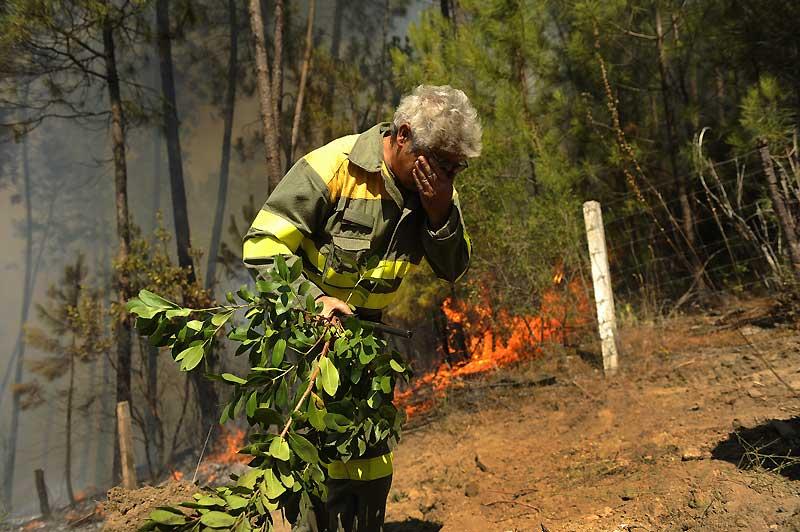 Images de l’année écoulée