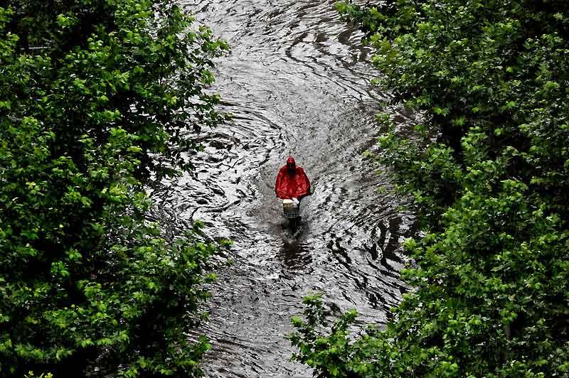 Images de l’année écoulée