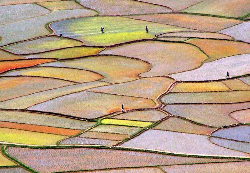 Images de l’année écoulée