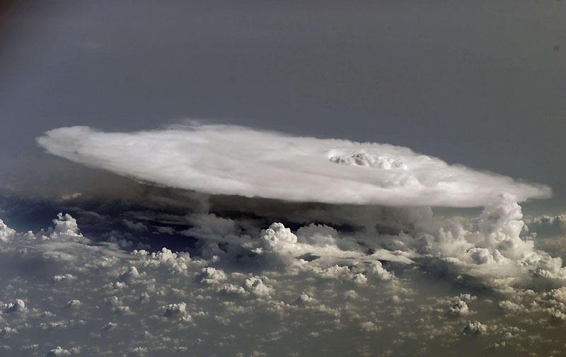 Images de l’année écoulée