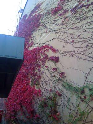 Dans la mémoire de mon téléphone - neuvième