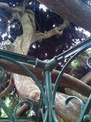 Dans la mémoire de mon téléphone - neuvième