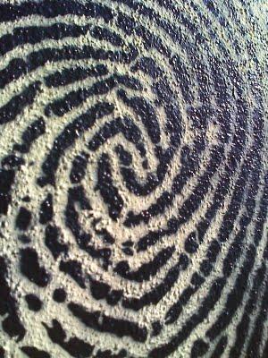 Dans la mémoire de mon téléphone - neuvième