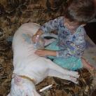 thumbs bebe drole 103 Des bébés droles (110 photos)