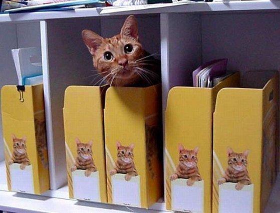 Les images insolites du jour