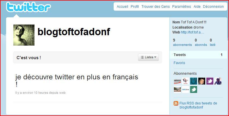 TWITTER IN FRENCH ok mais ça sert à quoi Twitter ?