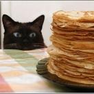 thumbs des chats fun015 Des Chats Droles (38 photos)