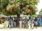 l'ombre d'un arbre Afrique