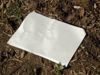 Un enfant victime des expulsions de ses parents