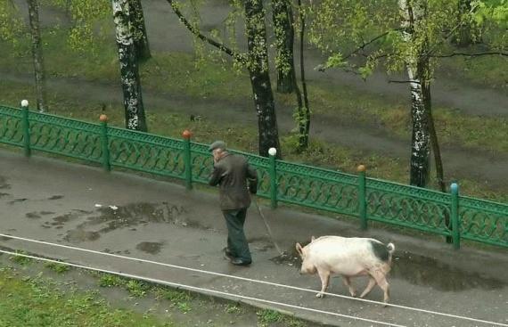 Images de gens étranges... # 2