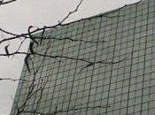 Bruxelles Acrostiche Véronique Dubois