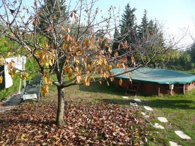 Bricolage du weekend...