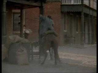 Cent morts pour un euro