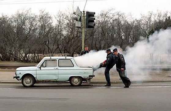 Les images insolites du jour