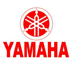 Saison 2010 : Merci a la concession Dynamic Sport et Yamaha Motor France